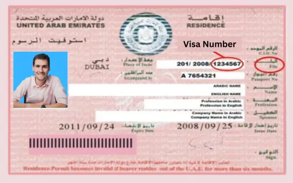 How to Find UAE Visa Number