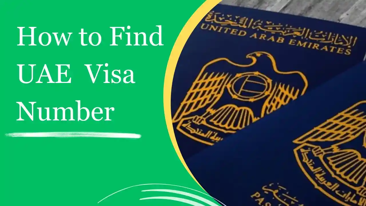 How to find UAE Visa Number